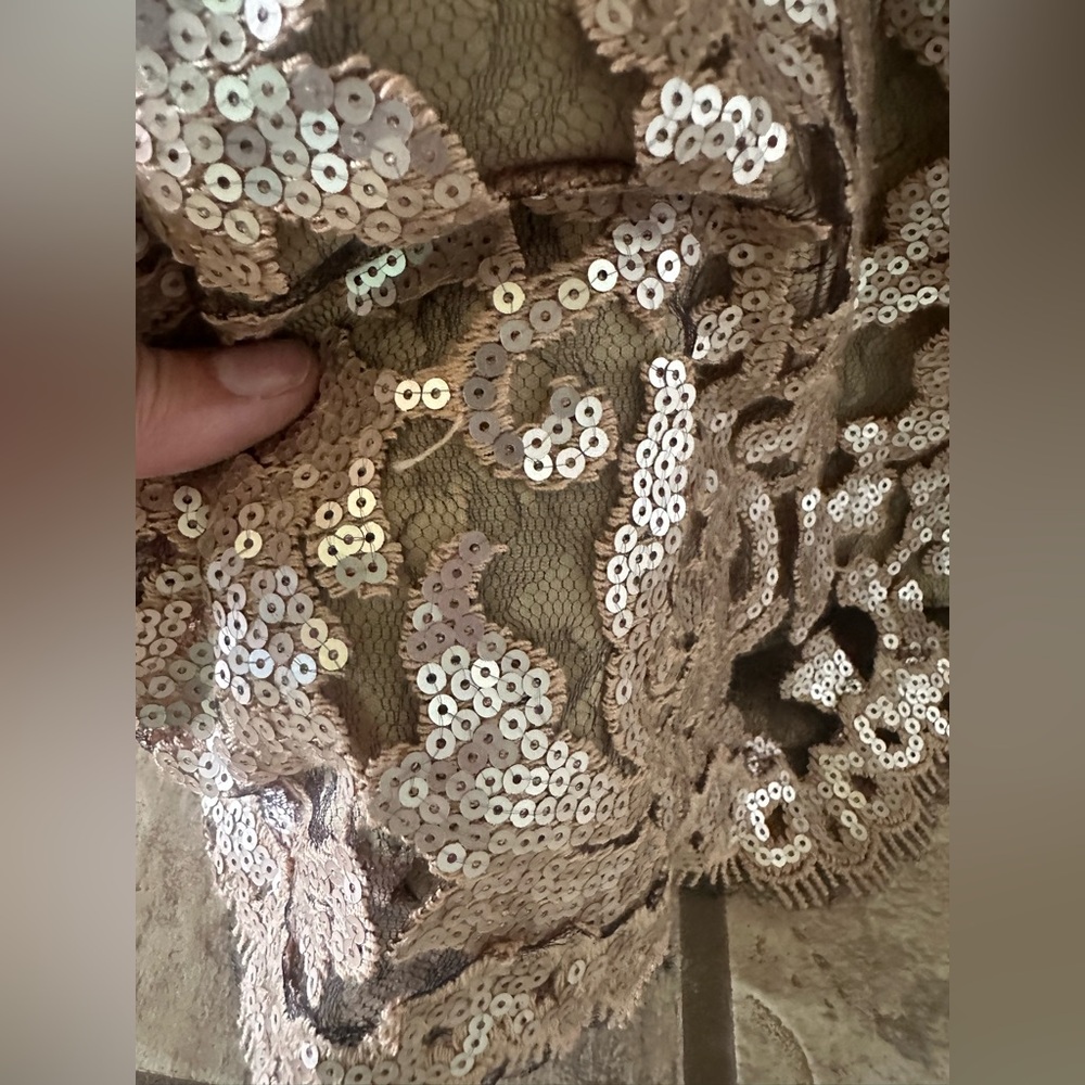 Tadashi Shoji Gold Lace Evening Gown - Picture 6 of 16
